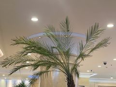 -逸派咖啡 EPARKCOFFEE(广安门店)