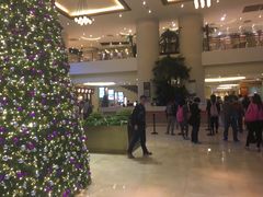 -惠州惠阳丽景国际花园酒店(市政广场店)