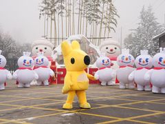 -少华山国家森林公园