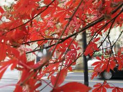 -衡山路(地铁站)