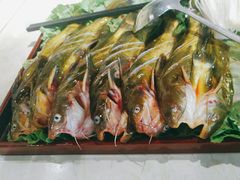 酸汤黄骨鱼-田趣园长沙菜(天安云谷店)