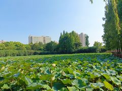 -黄兴公园