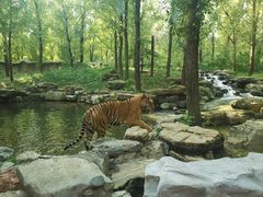 -北京野生动物园