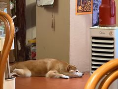 -About Bistro關於·泰式家庭料理