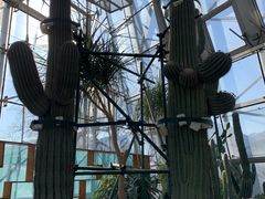 -北京植物园-展览温室