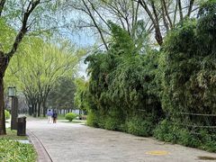 -唐城墙遗址公园