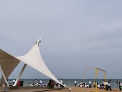-渡海小渔村.老辈日照菜