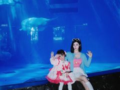 -海合安成都极地海洋公园