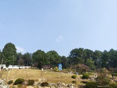 -铁山坪森林公园