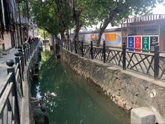 -小洲村