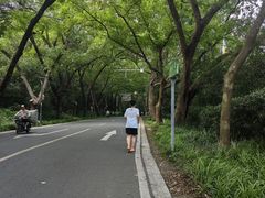 -紫金山山顶公园