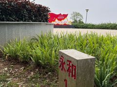 -黄埔油麻山森林公园