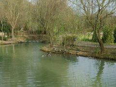 -明月山天沐温泉度假村