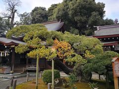 -水前寺成趣园
