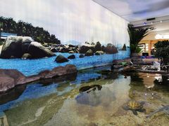 -鸿通城购物中心