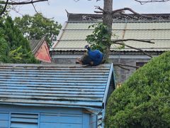 -有喜胶东小馆(超极合生汇太申祥和店)