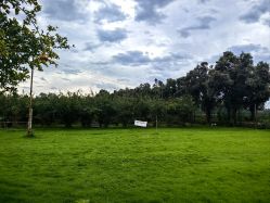 -DORA kids 朵拉儿童摄影花园店