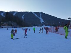 -亚布力新体委滑雪场