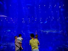 -成都浩海立方海洋公园