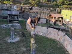 -大连森林动物园