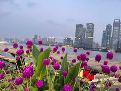 -北外滩滨江绿地