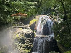 -牛背梁国家森林公园