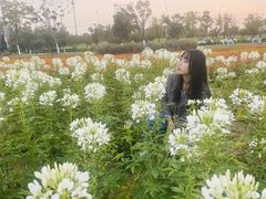 -映月湖中央公园