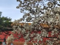 -北京市劳动人民文化宫(太庙)