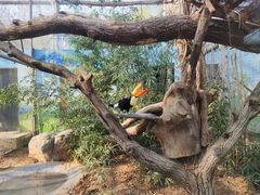 -济南野生动物世界