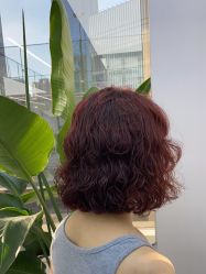 点击看大图 -赤道 Hair Salon