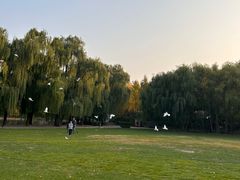 -静之湖度假区
