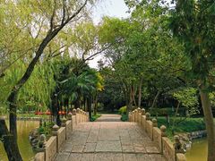 -瀛洲公园