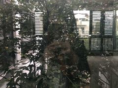 -苏州香山国际大酒店