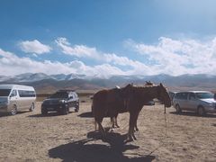 -青海湖国家重点风景名胜区