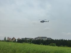 -瑶湖郊野森林公园