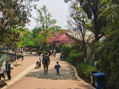 -昆明动物园