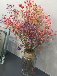 -小桑树染烫改变专门店
