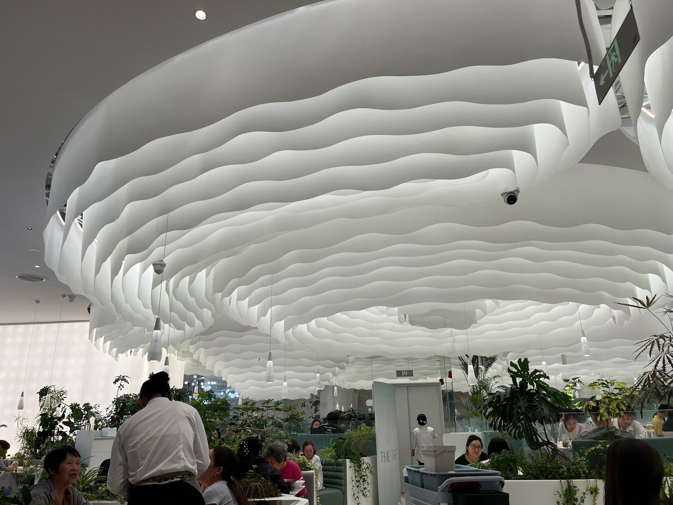 大树餐厅依旧人气满满