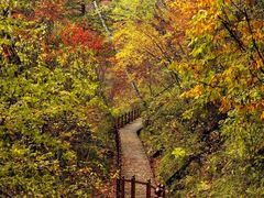 -叠溪松坪沟景区