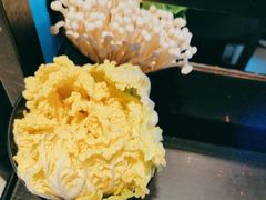 -辣伍鲜毛肚老火锅(元一店)