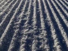 -密苑云顶乐园(云顶滑雪场)