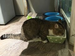 -小时光咖啡馆(开森度假森林店)
