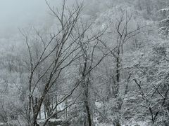 -秦岭终南山世界地质公园翠华山景区