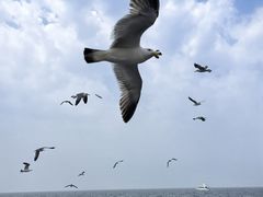 -大连海昌东方水城
