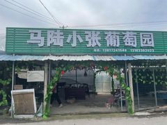 -马陆小张葡萄园农家乐