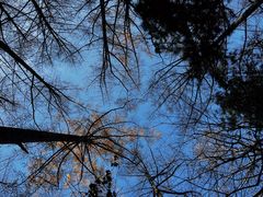 -崂山九水游览区