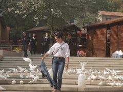 -武汉姚家山旅游景区