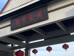 -上海都市菜园