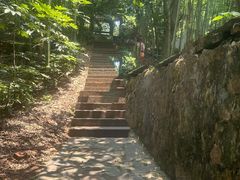 -潜山国家森林公园