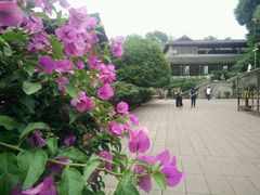 -峨眉山报国寺
